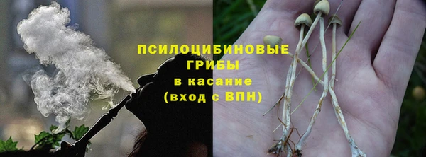 сатива Надым