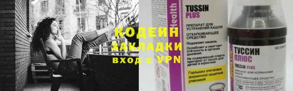 сатива Надым