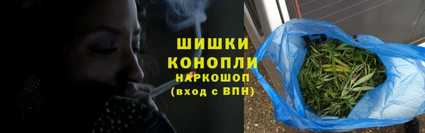 сатива Надым