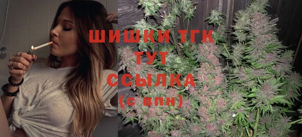 сатива Надым