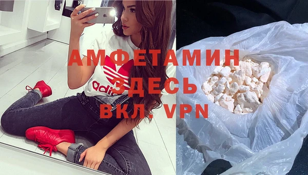 сатива Надым
