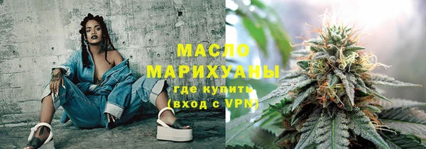 сатива Надым