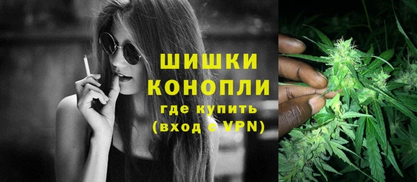 сатива Надым